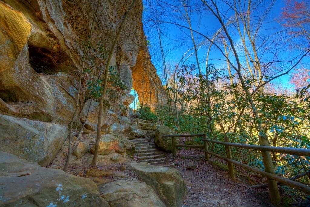 Natural Bridge State Park