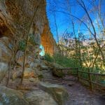 Natural Bridge State Park