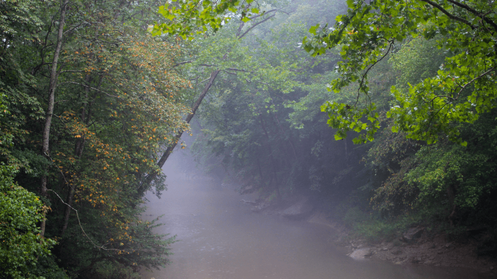  | Scenic Cabin Rentals